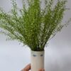 Eye vase - Image 8