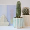 Ceramic boat, decal - Image 7