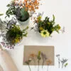 Organic textures - Clay workshop, December 3,  Tuesday, 18:00 - 20:30, with Kesem Yahav - Image 10