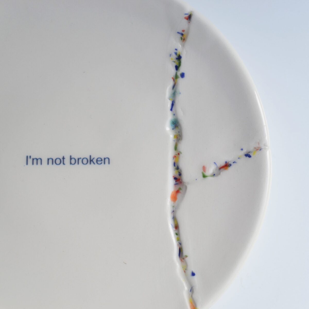 "I'm not broken" plate - Image 2